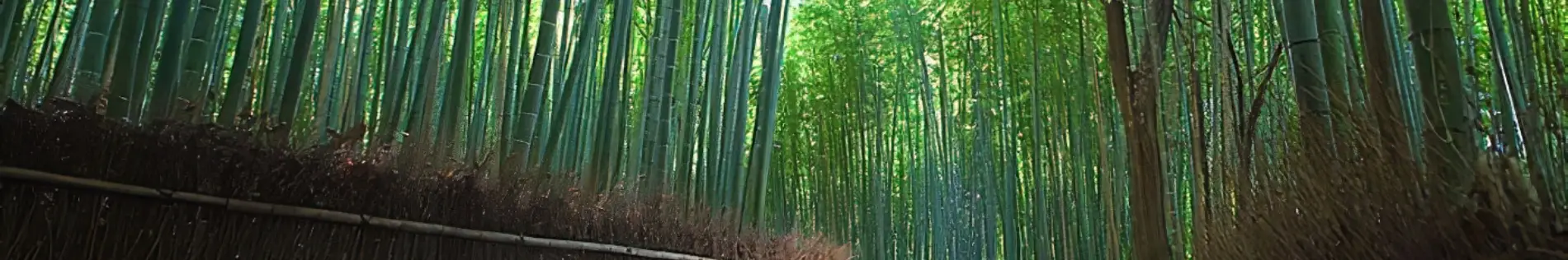 japan hakken