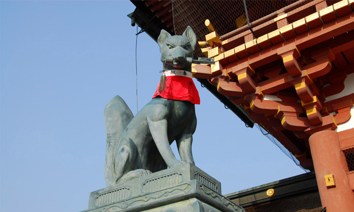 renard inari